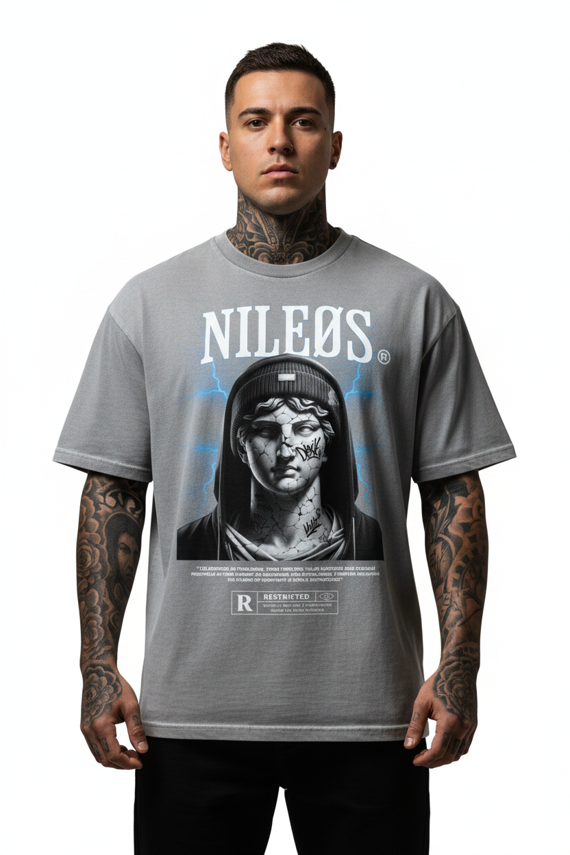 NOBLE ASPIRATIONS Oversized Shirt mit Frontprint
