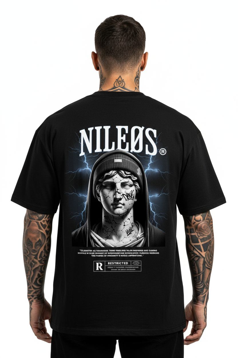 NOBLE ASPIRATIONS Oversized Shirt mit Backprint