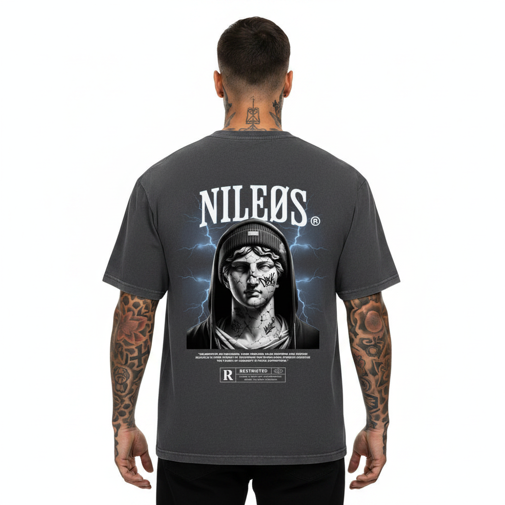 NOBLE ASPIRATIONS Oversized Shirt mit Backprint